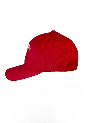 FLEXFIT HAT
