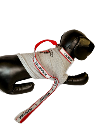 Dog Shirt