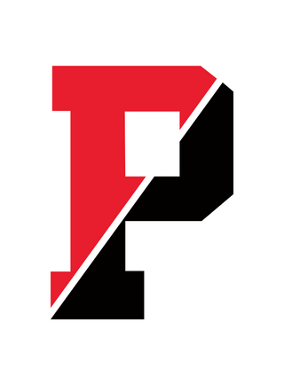 Split 'P' Logo Car Decal